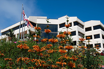 Thorton Building on Campus