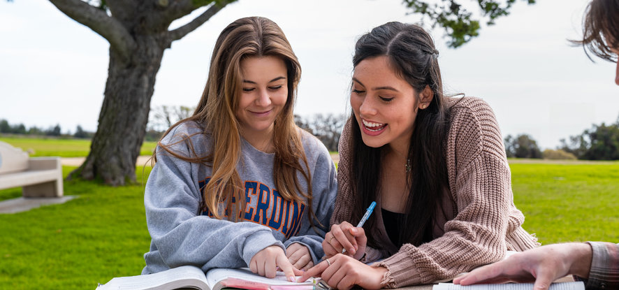 studnet's doing homework together